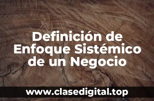 Definición de Enfoque Sistémico de un Negocio