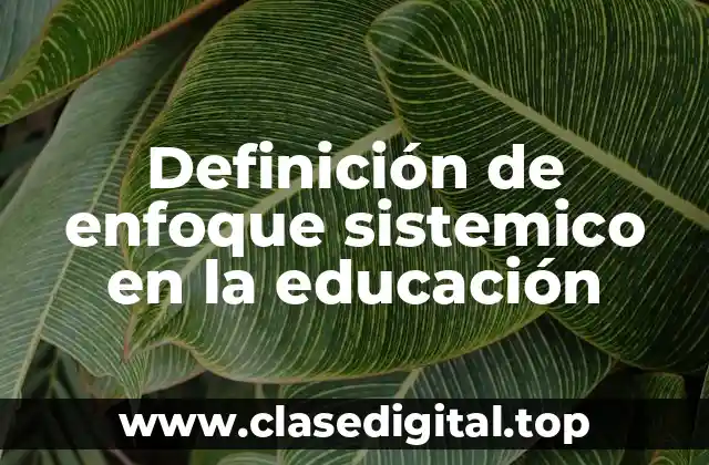 Definición de enfoque sistemico en la educación