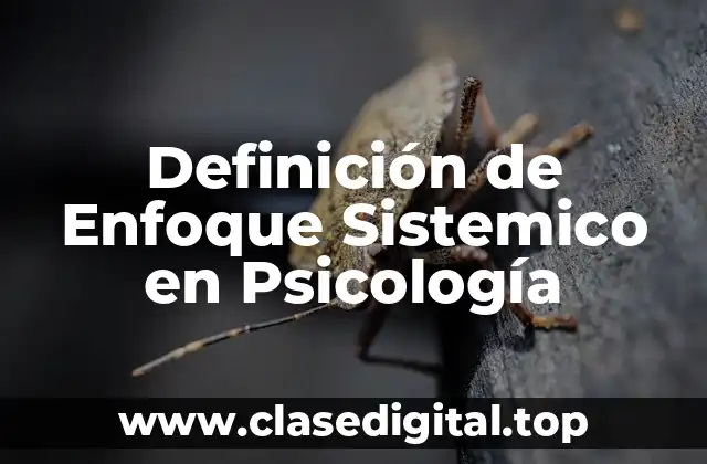Definición técnica de Enfoque Sistemico en Psicología
