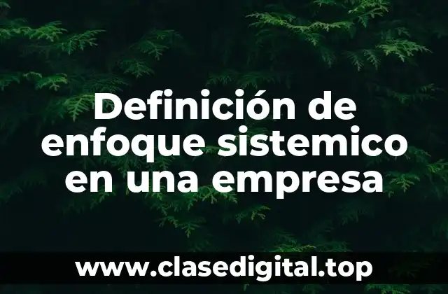 Definición de enfoque sistemico en una empresa