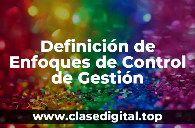 Definición de Enfoques de Control de Gestión