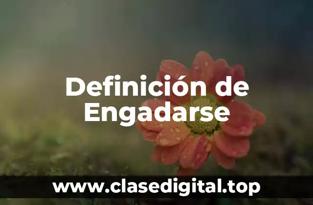 Definición de Engadarse