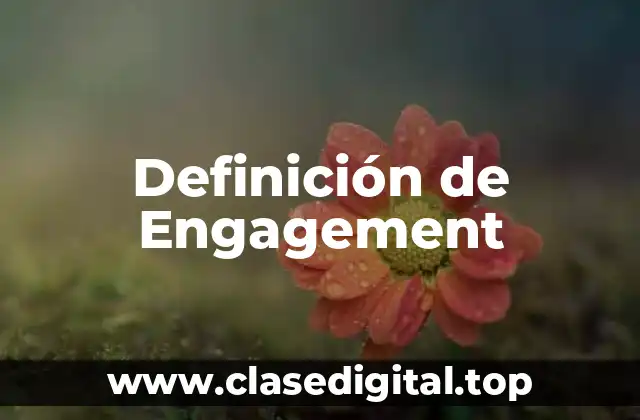 Definición de Engagement