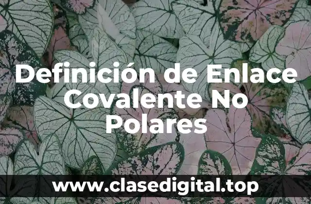 Definición de Enlace Covalente No Polares