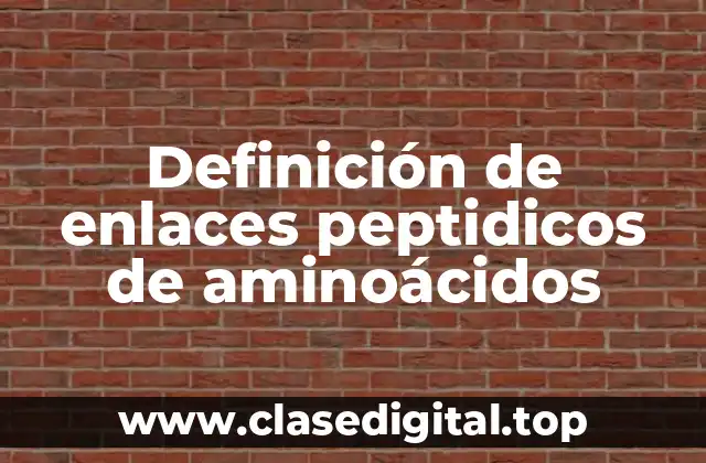 Ejemplos de enlaces peptidicos de aminoácidos