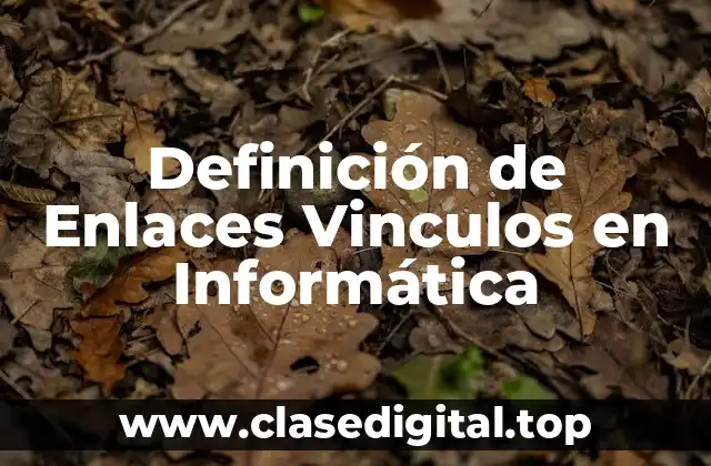 Definición de Enlaces Vinculos en Informática