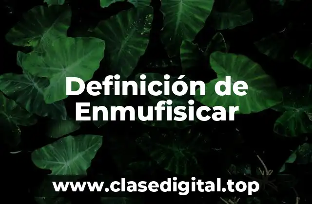 Definición técnica de enmufisicar