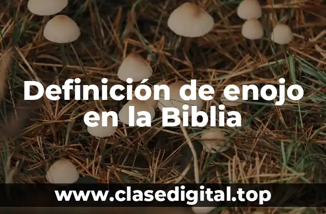 Definición de enojo en la Biblia