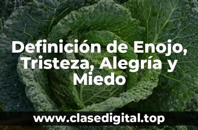 Definición de Enojo, Tristeza, Alegría y Miedo