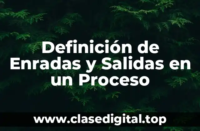 Definición de Enradas y Salidas en un Proceso