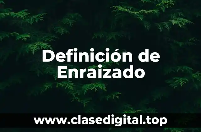 Definición de Enraizado