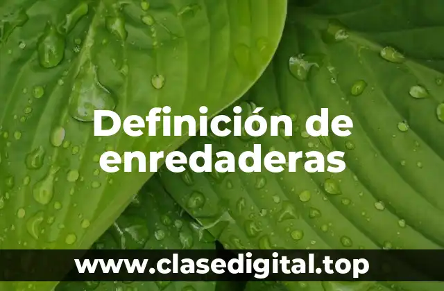 Definición de enredaderas