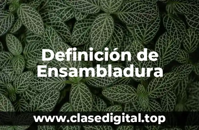 Definición de Ensambladura