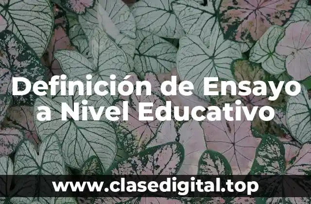 Definición Técnica de Ensayo a Nivel Educativo