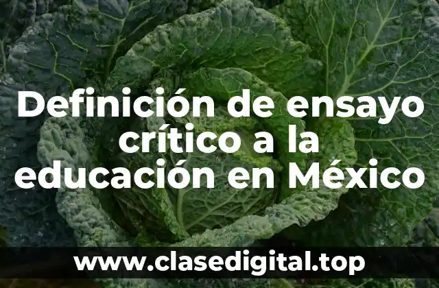 Definición de ensayo crítico a la educación en México