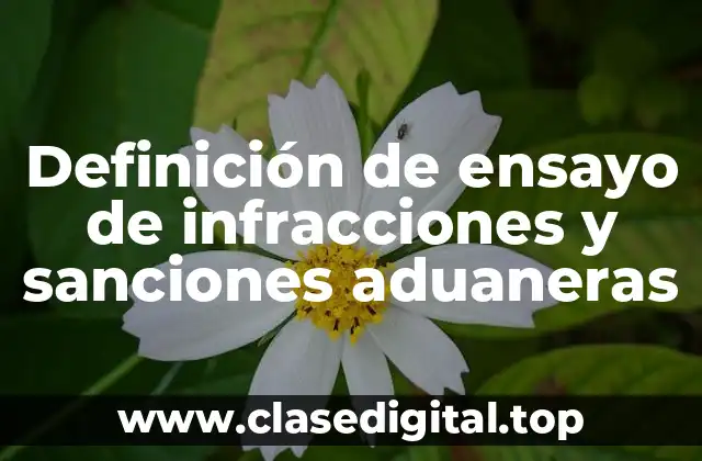 Definición de ensayo de infracciones y sanciones aduaneras