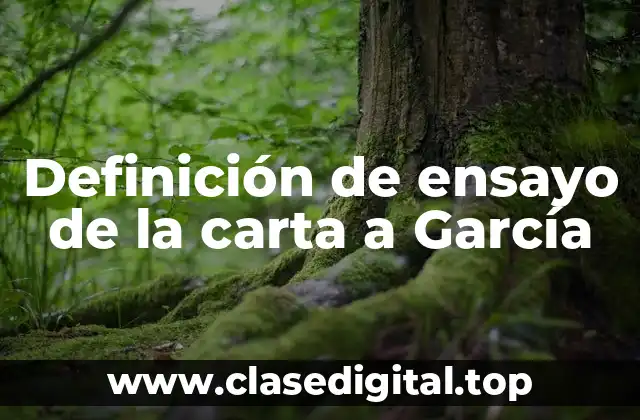 Definición de ensayo de la carta a García