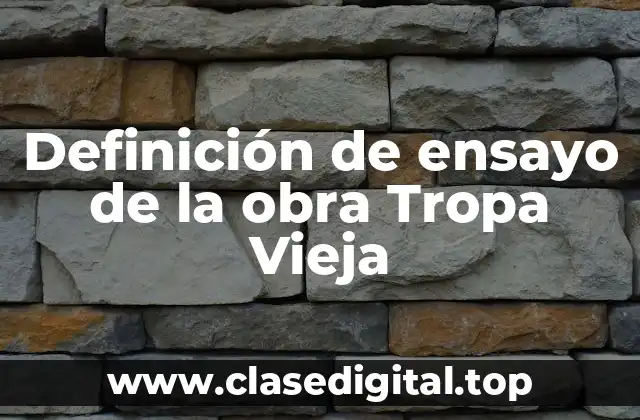 Definición de ensayo de la obra Tropa Vieja