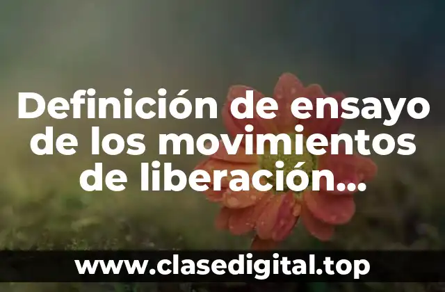 Definición de ensayo de los movimientos de liberación nacional