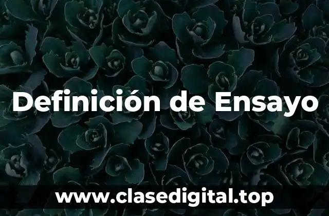 Definición técnica de ensayo