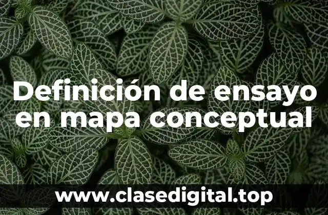 Definición de ensayo en mapa conceptual