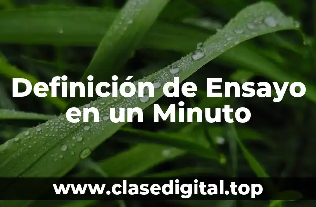 Definición de Ensayo en un Minuto