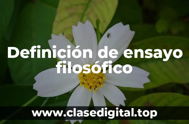 Definición de ensayo filosófico