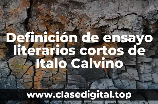 Definición de ensayo literarios cortos de Italo Calvino