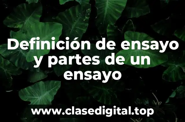Definición de ensayo y partes de un ensayo