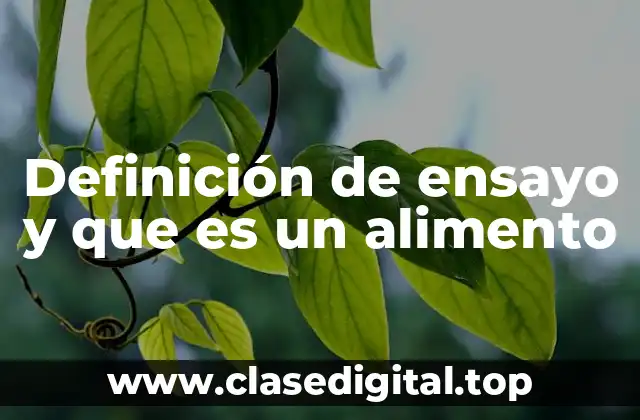 Definición de ensayo y que es un alimento