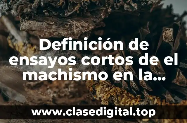 Ejemplos de ensayos cortos de el machismo en la sociedad