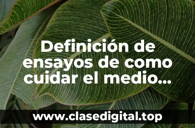 Ejemplos de ensayos sobre cómo cuidar el medio ambiente