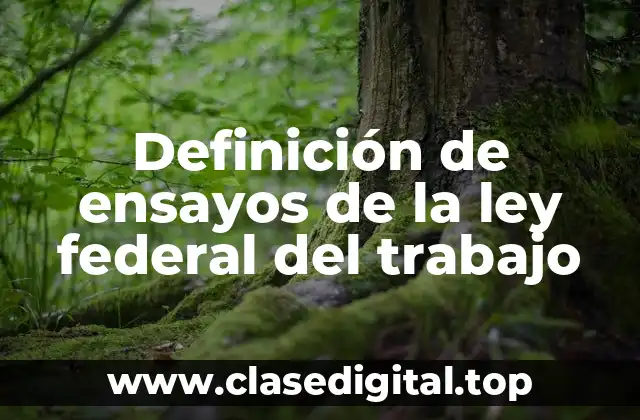 Definición de ensayos de la ley federal del trabajo