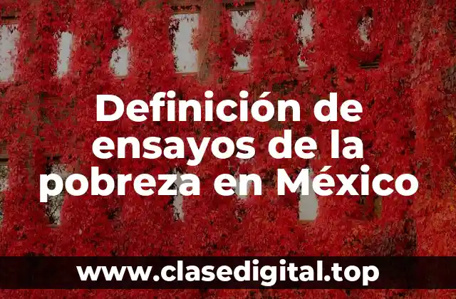 Ejemplos de ensayos de la pobreza en México