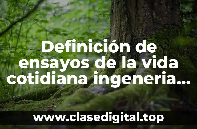 Ejemplos de ensayos de la vida cotidiana ingeneria industrial