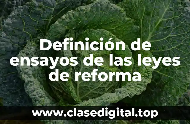 Ejemplos de ensayos de las leyes de reforma