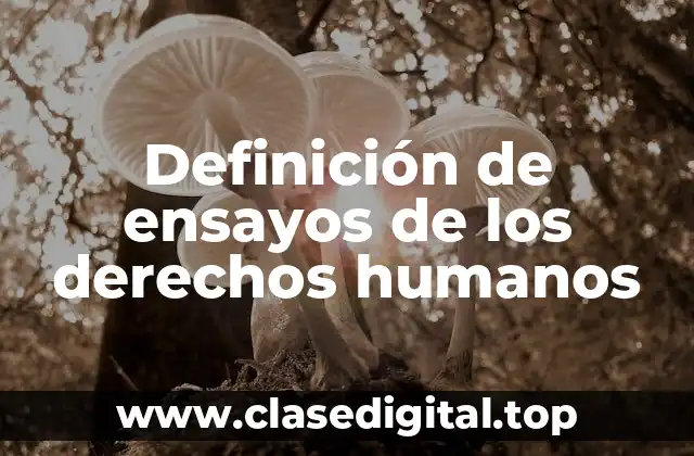 Definición de ensayos de los derechos humanos