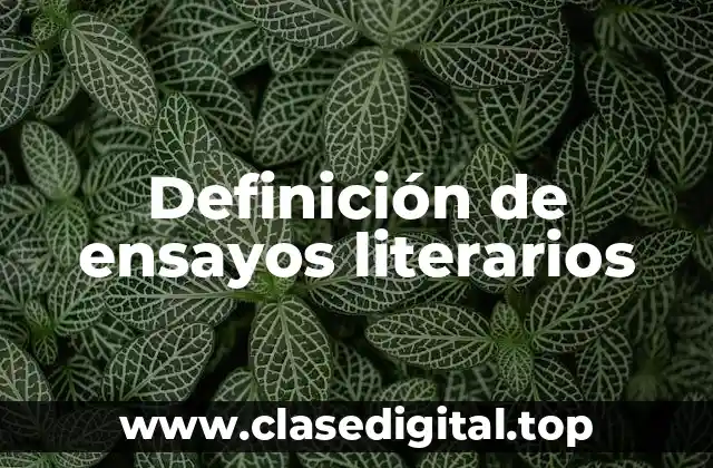 Definición de ensayos literarios
