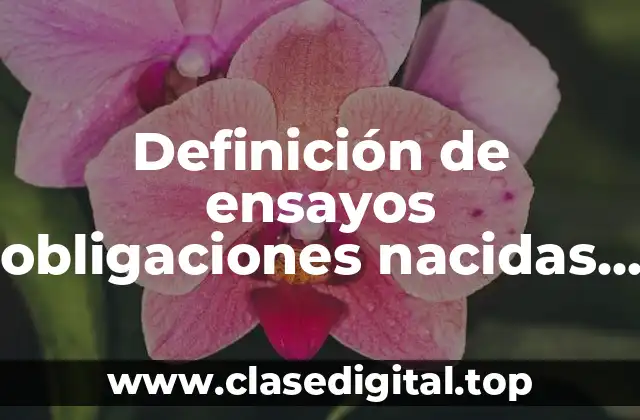 Definición de ensayos obligaciones nacidas de los contratos