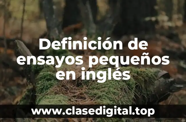 Definición de ensayos pequeños en inglés