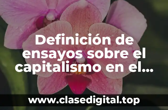 Ejemplos de ensayos sobre el capitalismo en el Porfiriato