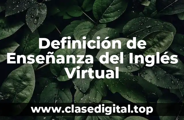 Definición técnica de Enseñanza del Inglés Virtual