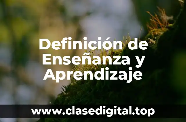 Definición de Enseñanza y Aprendizaje