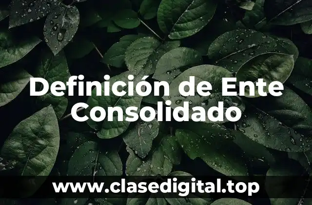 Definición de Ente Consolidado