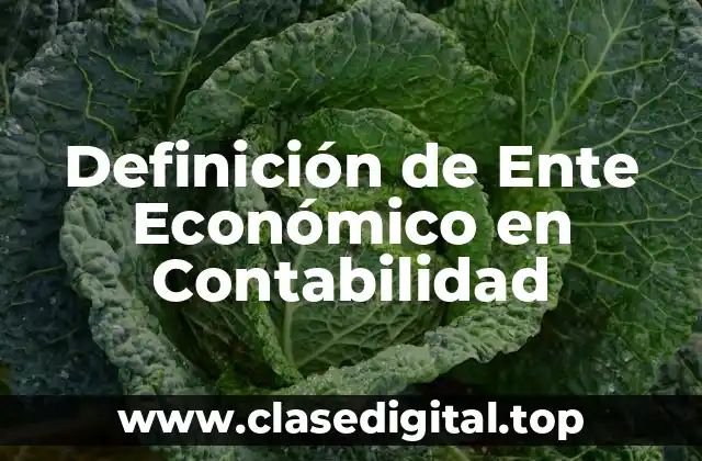 Definición de Ente Económico en Contabilidad