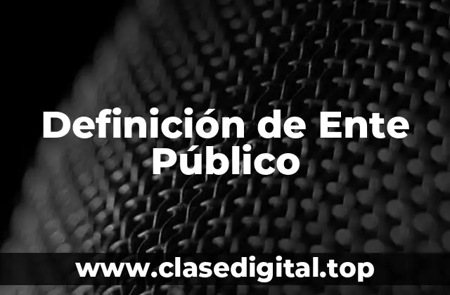 Definición de Ente Público