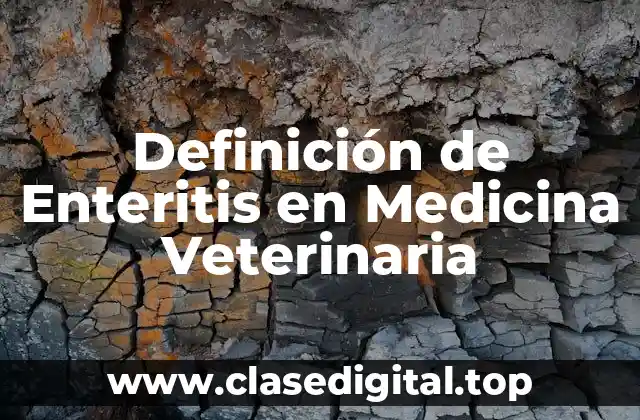 Definición de Enteritis en Medicina Veterinaria