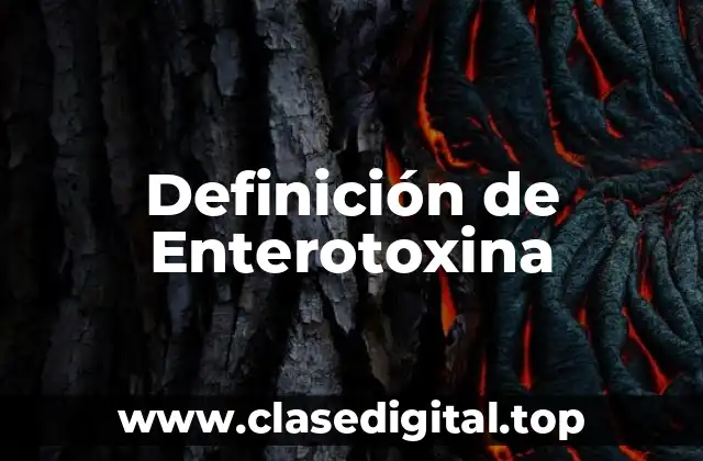 Definición de Enterotoxina
