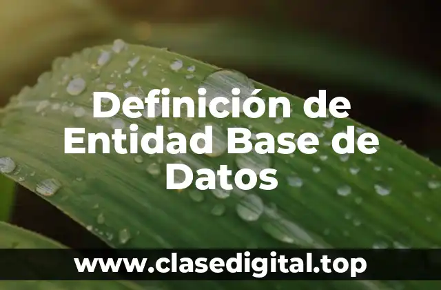 Definición de Entidad Base de Datos