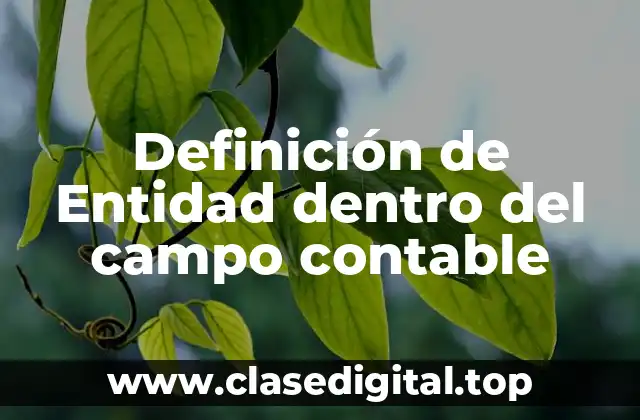 Definición de Entidad dentro del campo contable